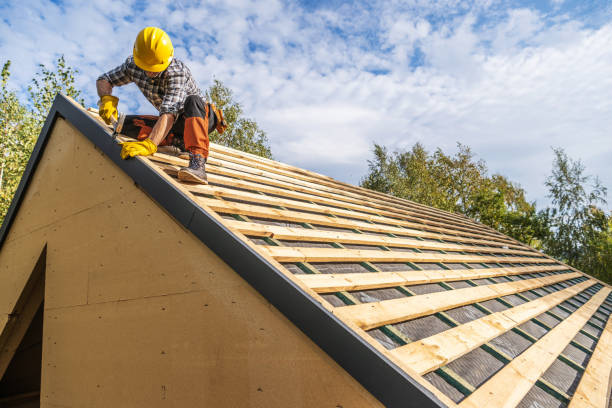 Best Roof Repair Services  in Charleston, IL