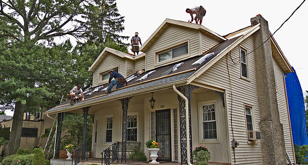 Best Roof Maintenance Services  in Charleston, IL
