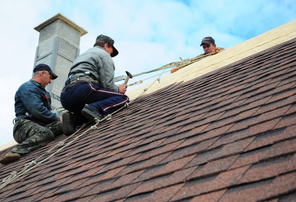 Best Roof Gutter Cleaning  in Charleston, IL